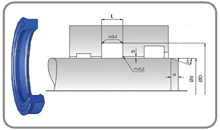 Bogaz Kecesi W038 (W038)